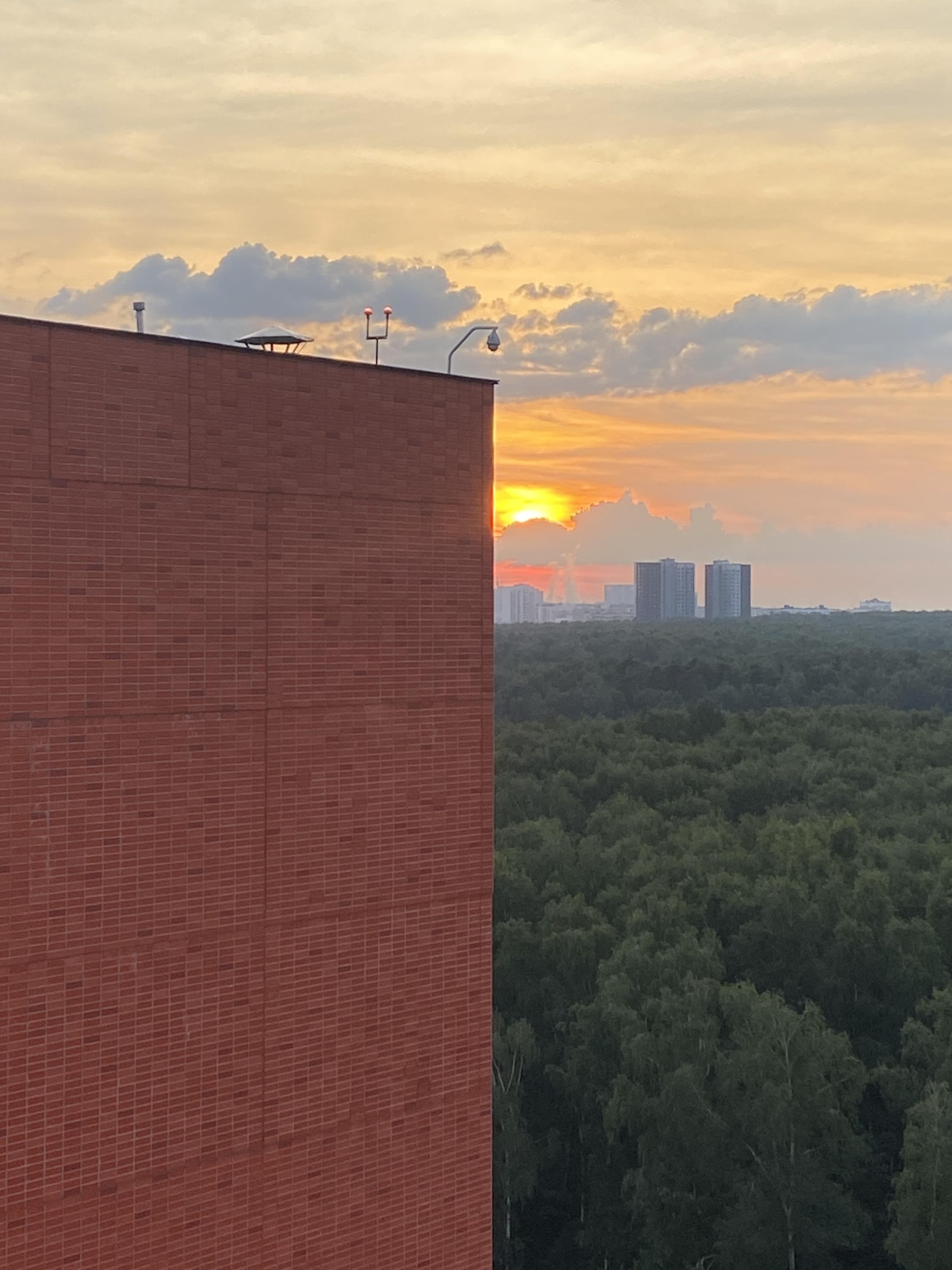 Уютная студия рядом с лесом